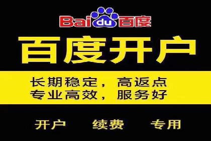 SEM竞价广告的智能优化：成功案例解读